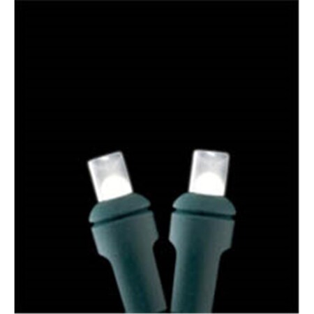 Forever Bright Kellogg Plastics 025 in Holiday  Christmas Indoor  Outdoor M5 Base LED Pure White 45613